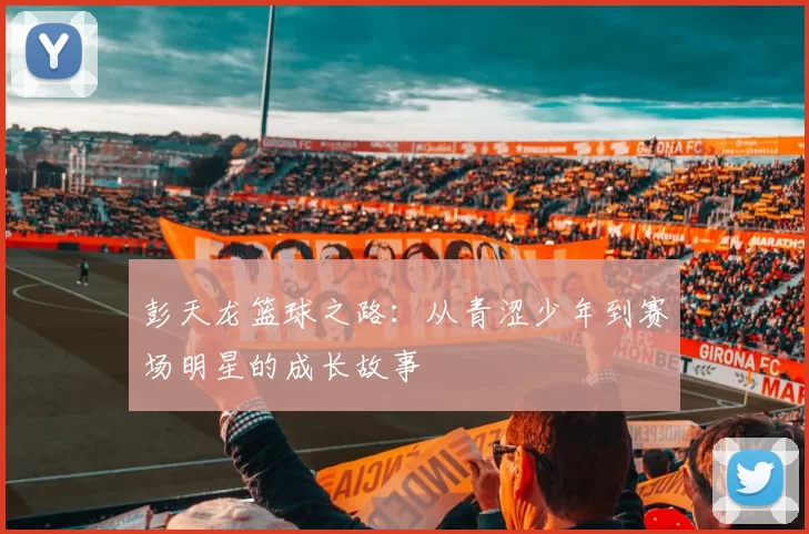 彭天龙篮球之路：从青涩少年到赛场明星的成长故事