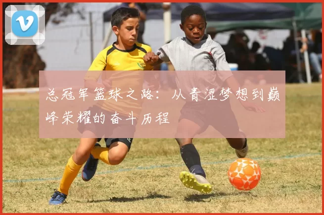 总冠军篮球之路：从青涩梦想到巅峰荣耀的奋斗历程