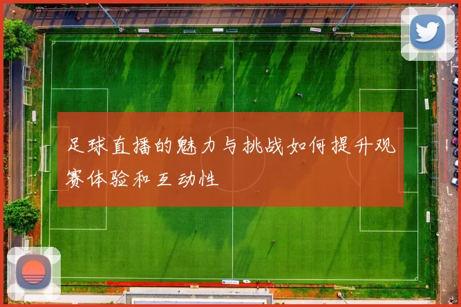 足球直播的魅力与挑战如何提升观赛体验和互动性